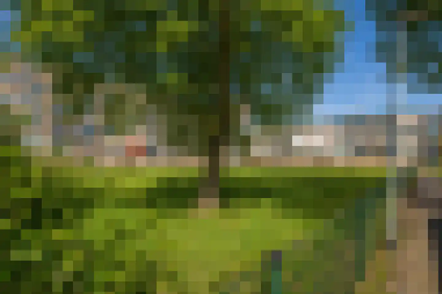 Zwin 83 Assen thumbnail 7