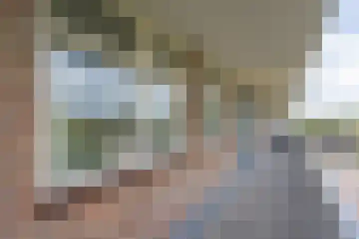 Zwin 87 Assen thumbnail 12