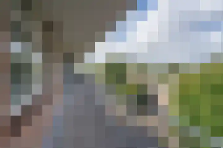 Zwin 87 Assen thumbnail 13