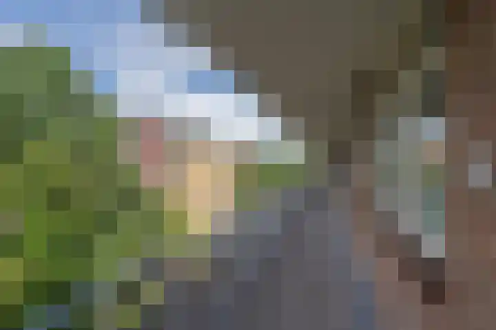 Zwin 87 Assen thumbnail 14