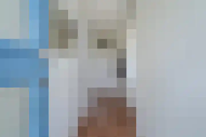 Zwin 87 Assen thumbnail 16