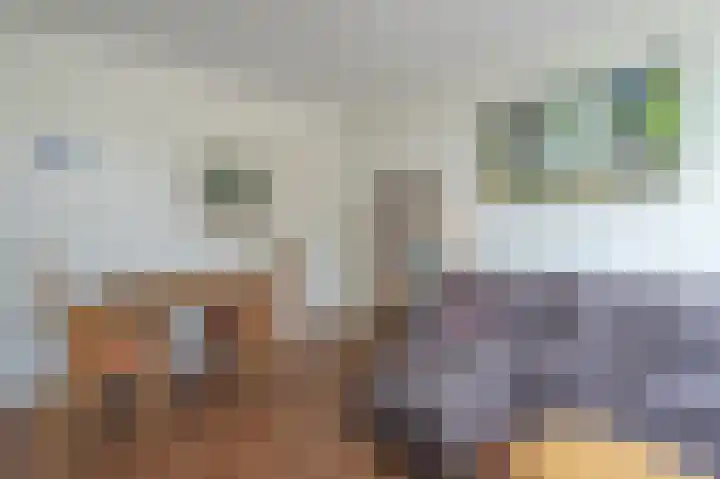 Zwin 87 Assen thumbnail 18