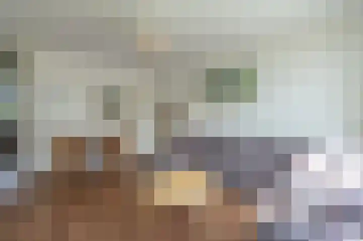 Zwin 87 Assen thumbnail 21