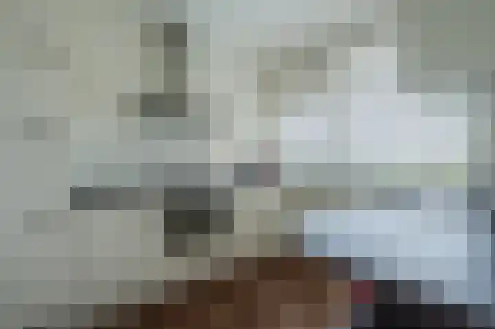Zwin 87 Assen thumbnail 22