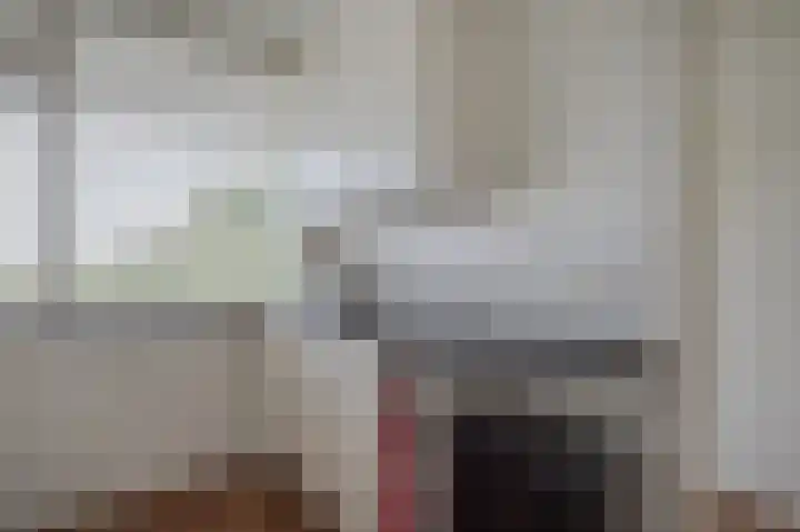 Zwin 87 Assen thumbnail 23