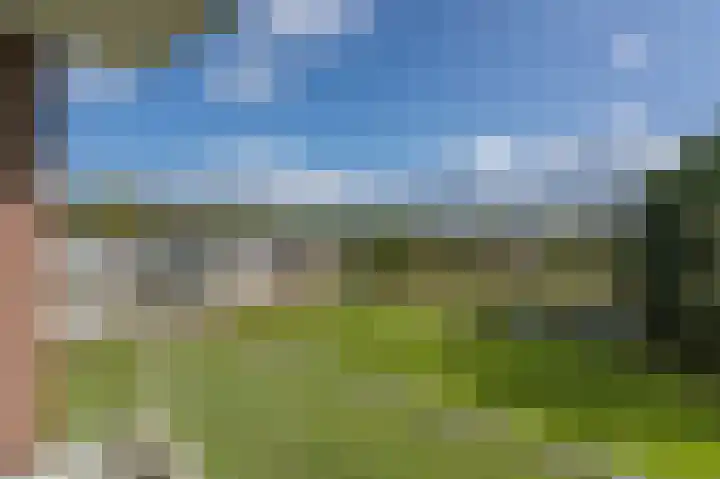 Zwin 87 Assen thumbnail 26