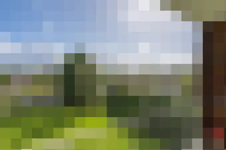 Zwin 87 Assen thumbnail 27