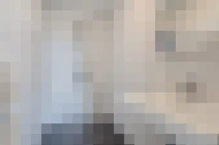 Zwin 87 Assen thumbnail 32
