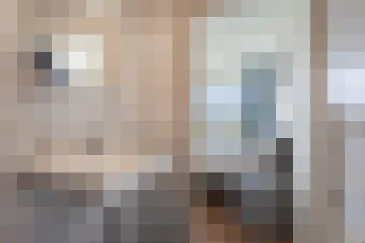 Zwin 87 Assen thumbnail 33