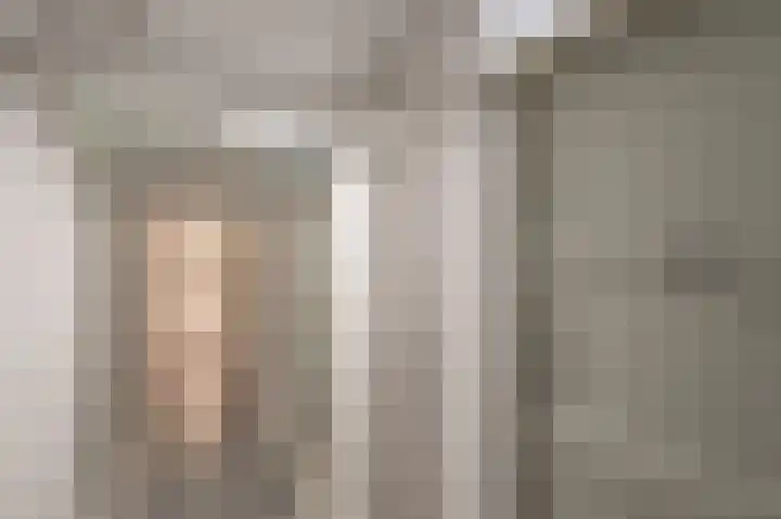 Zwin 87 Assen thumbnail 38
