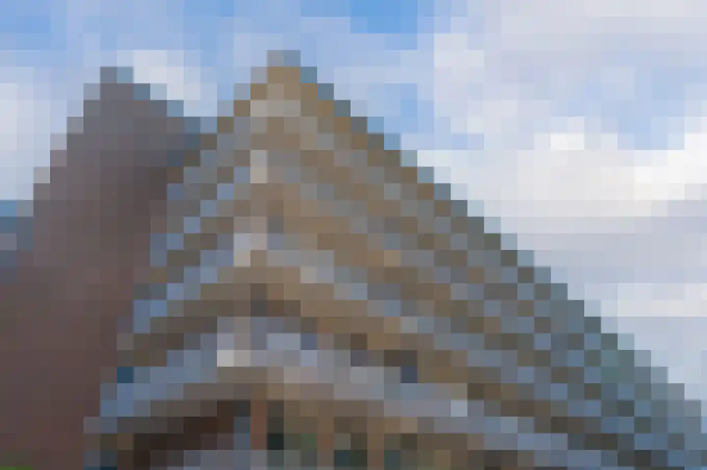 Zwin 91 Assen thumbnail 10