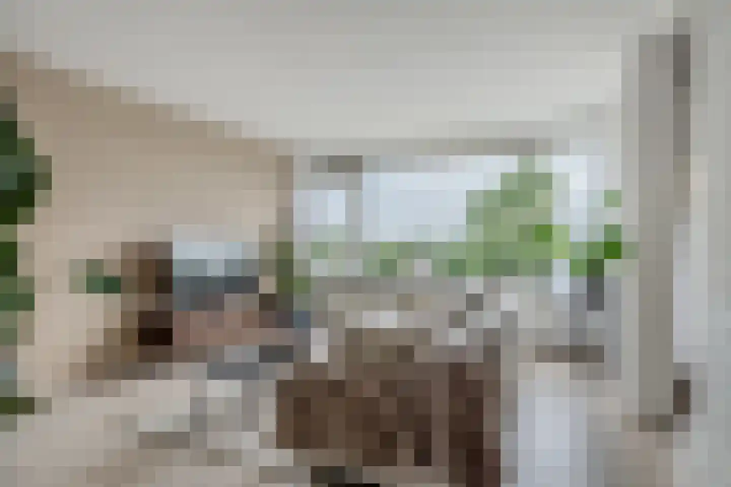 Zwin 91 Assen thumbnail 18