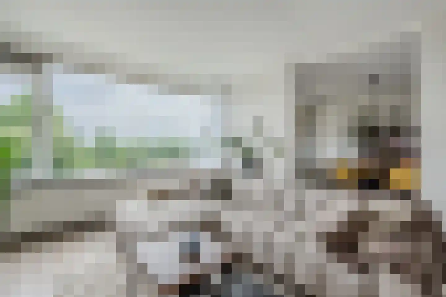 Zwin 91 Assen thumbnail 22