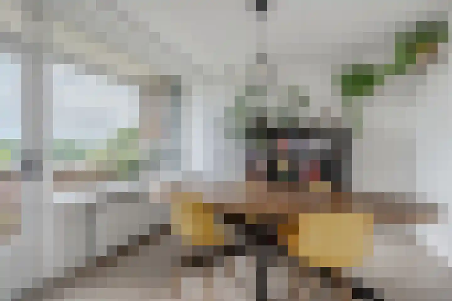 Zwin 91 Assen thumbnail 23