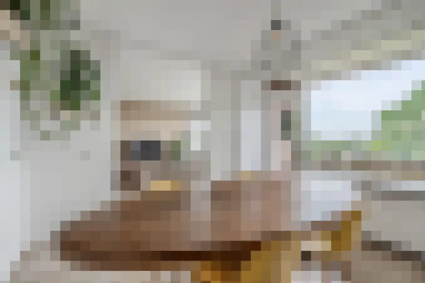 Zwin 91 Assen thumbnail 24