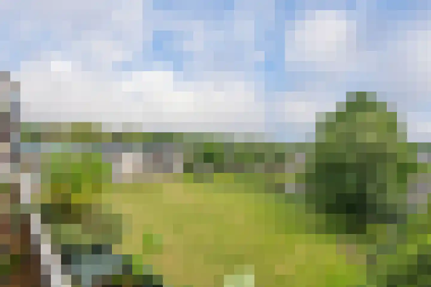 Zwin 91 Assen thumbnail 29
