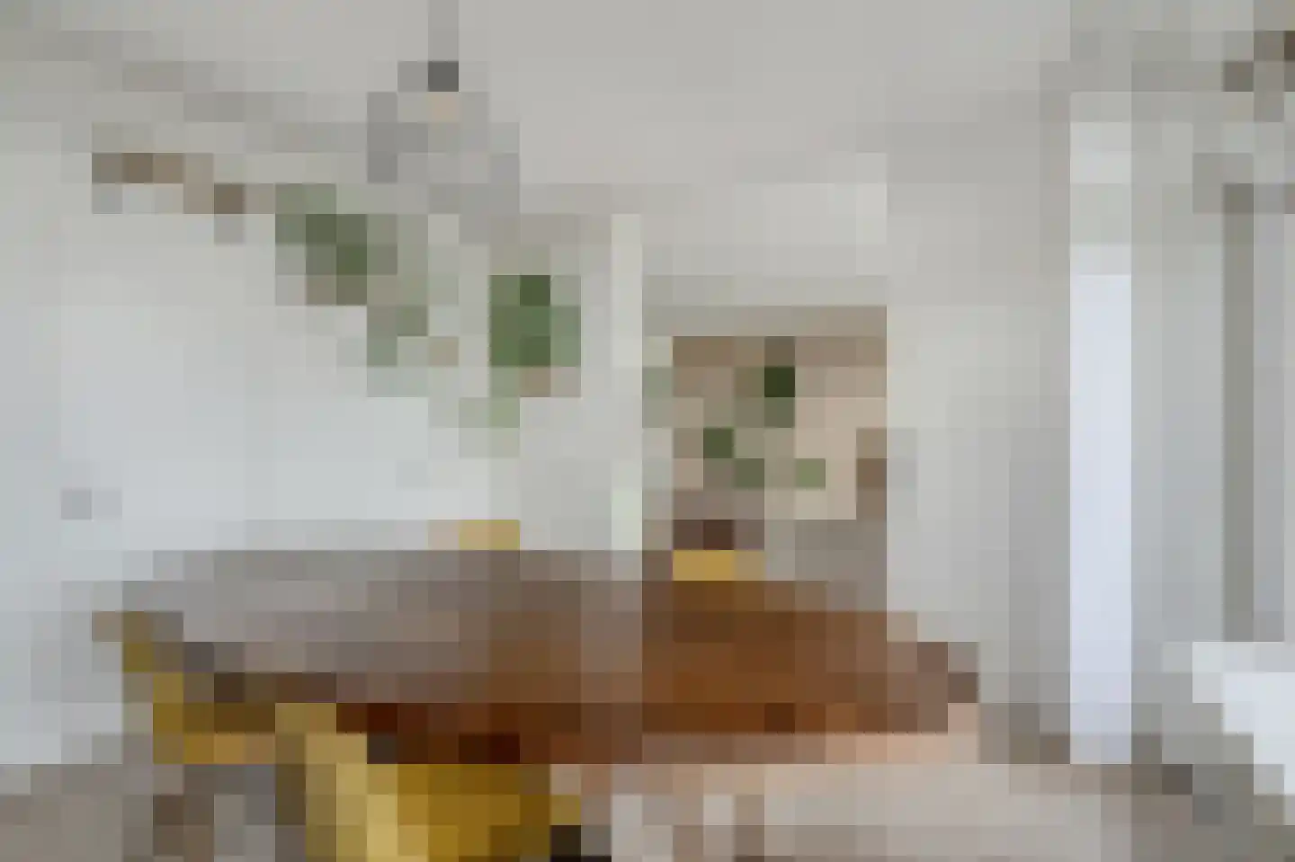 Zwin 91 Assen thumbnail 31
