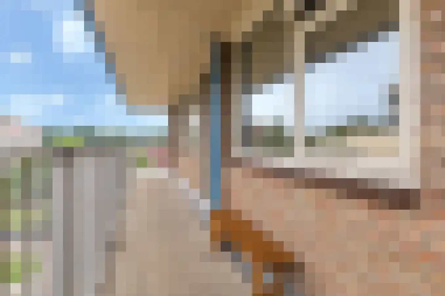 Zwin 95 Assen thumbnail 11