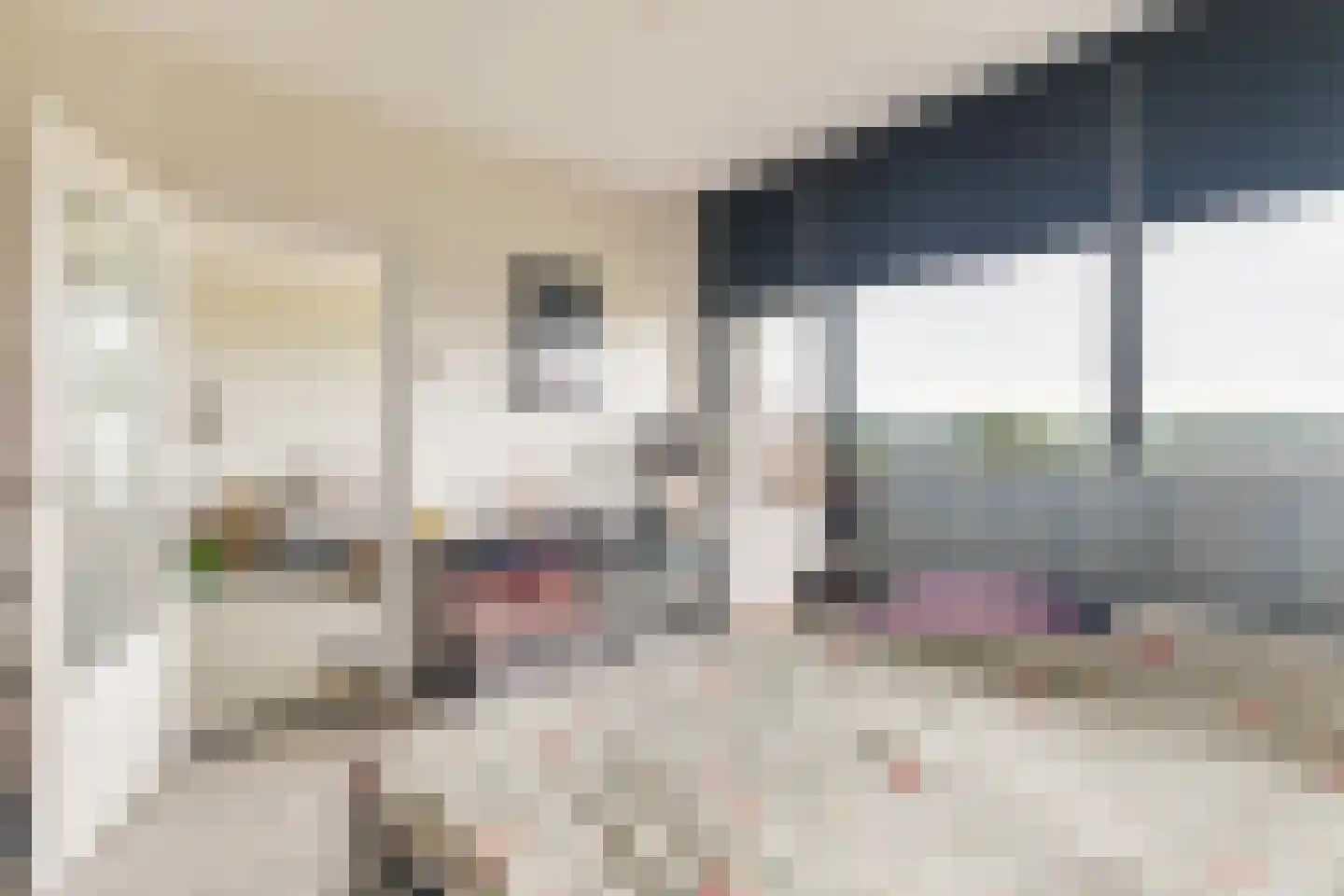 Zwin 95 Assen thumbnail 26