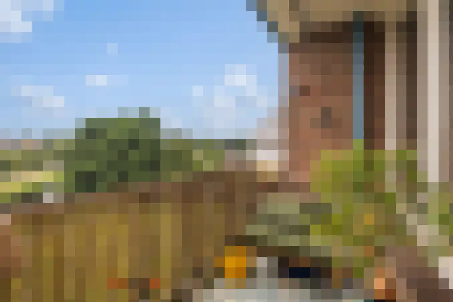 Zwin 95 Assen thumbnail 27