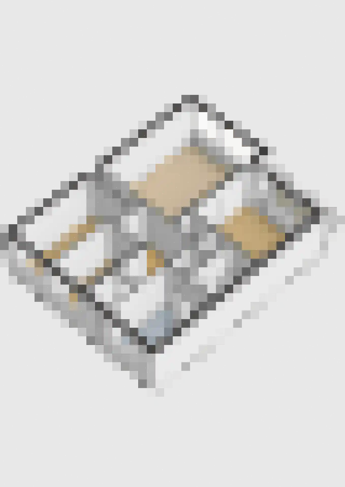 Zwin 95 Assen thumbnail 42