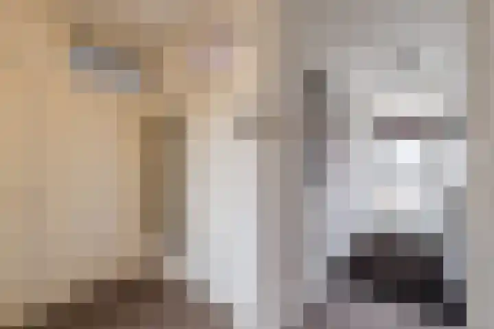 Zwin 97 Assen thumbnail 11