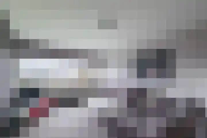 Zwin 97 Assen thumbnail 13