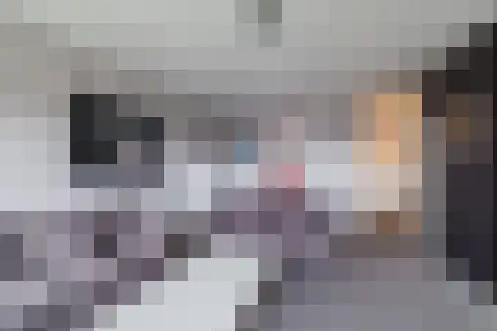 Zwin 97 Assen thumbnail 15