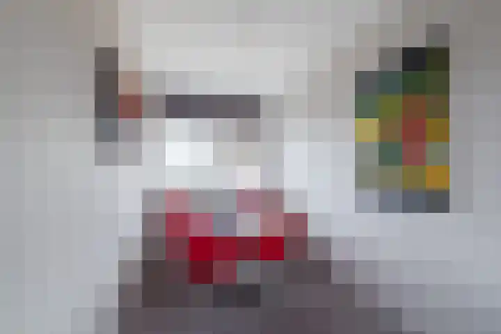 Zwin 97 Assen thumbnail 16