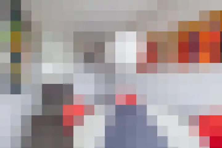 Zwin 97 Assen thumbnail 17