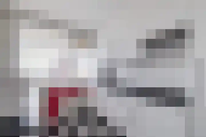 Zwin 97 Assen thumbnail 18