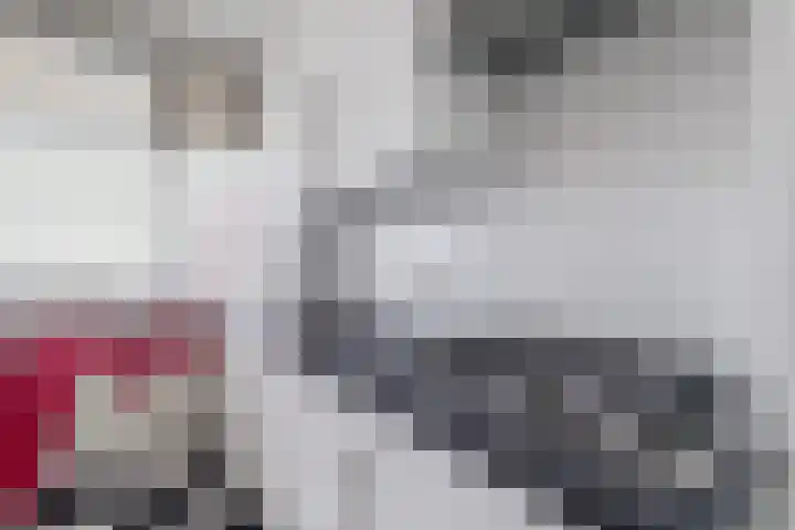 Zwin 97 Assen thumbnail 20