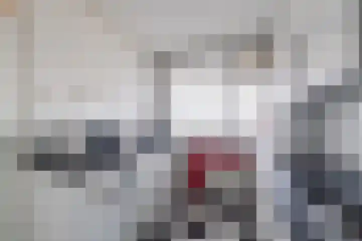 Zwin 97 Assen thumbnail 21