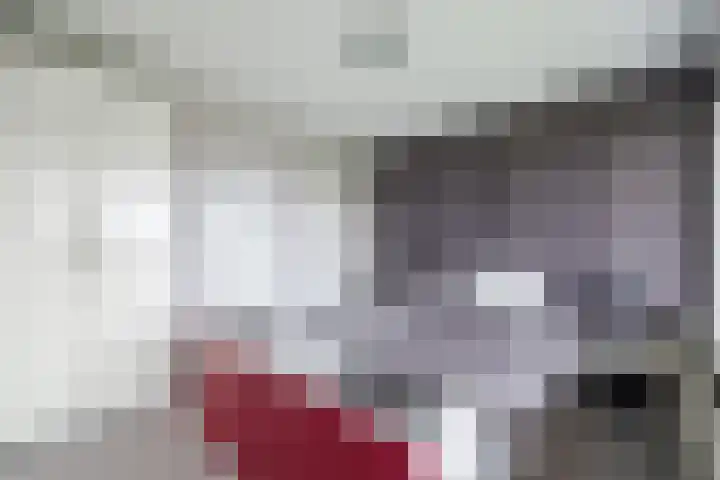Zwin 97 Assen thumbnail 23