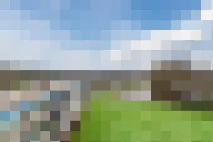 Zwin 97 Assen thumbnail 28