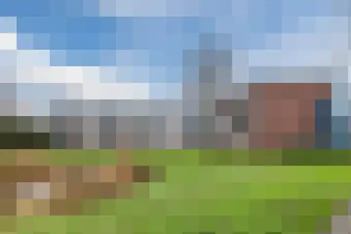 Zwin 97 Assen thumbnail 29