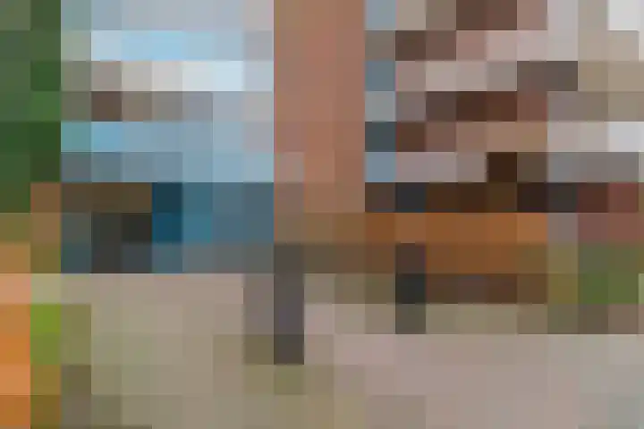 Zwin 97 Assen thumbnail 4