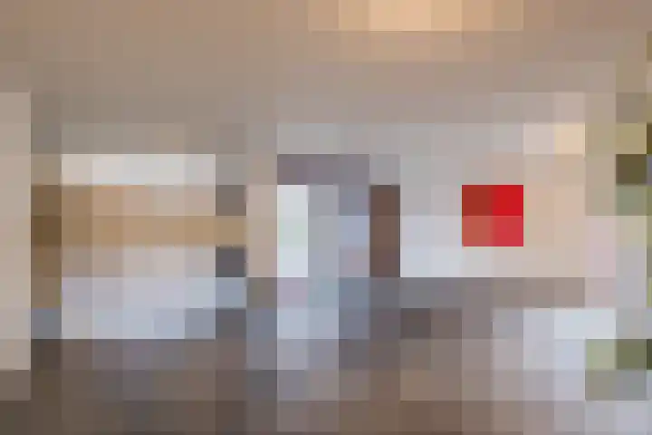 Zwin 97 Assen thumbnail 5