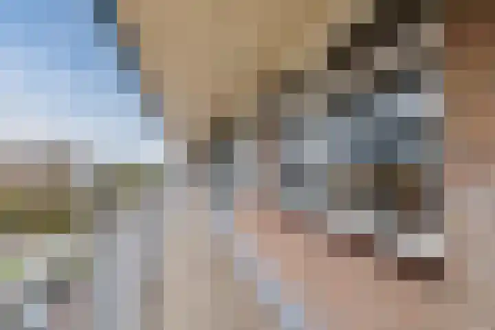 Zwin 97 Assen thumbnail 6