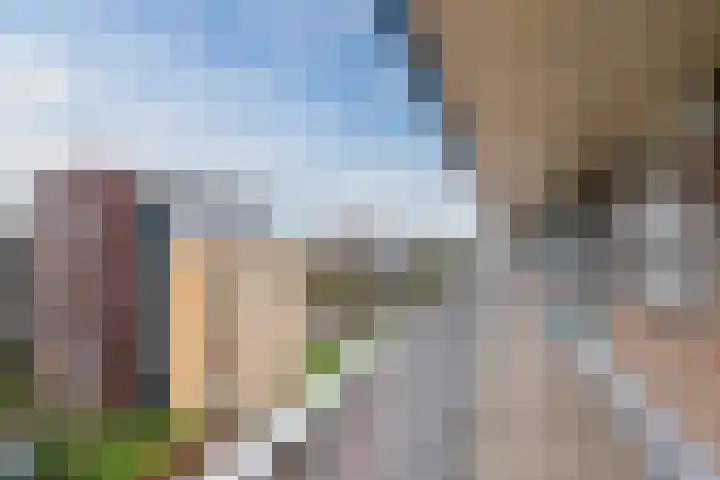 Zwin 97 Assen thumbnail 7