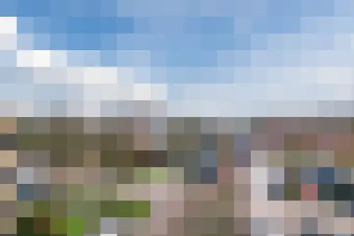 Zwin 97 Assen thumbnail 8