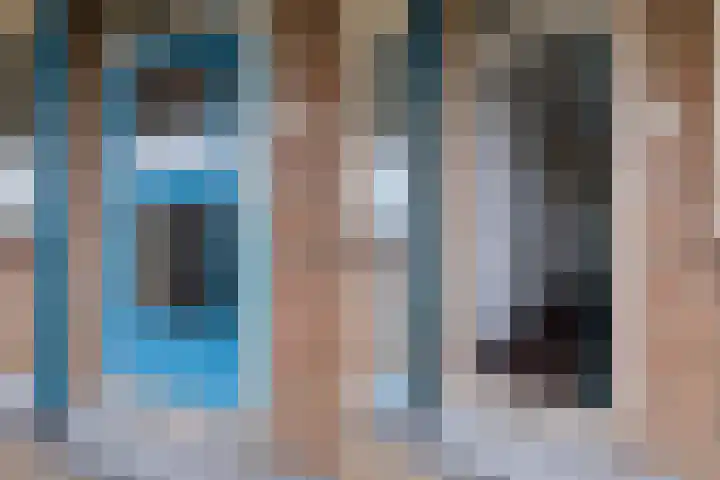 Zwin 97 Assen thumbnail 9