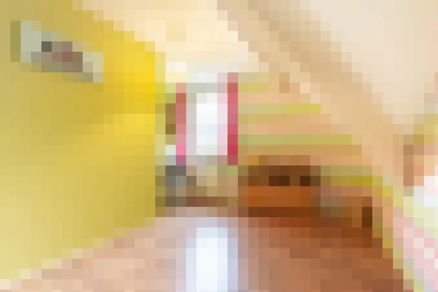 Zwingel 3 Hardenberg thumbnail 25