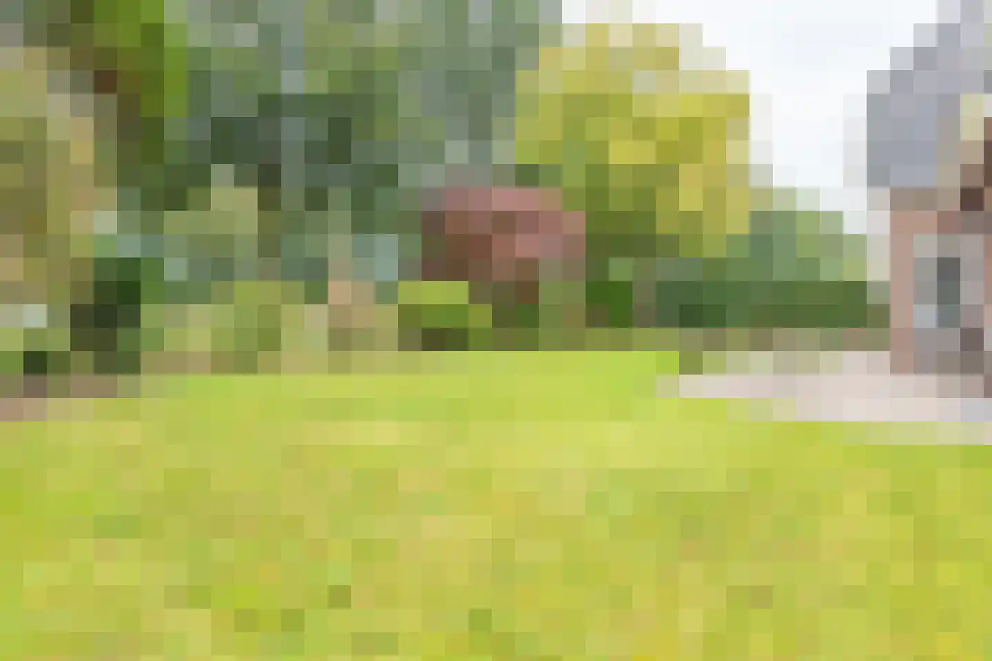 Zwingel 3 Hardenberg foto 3