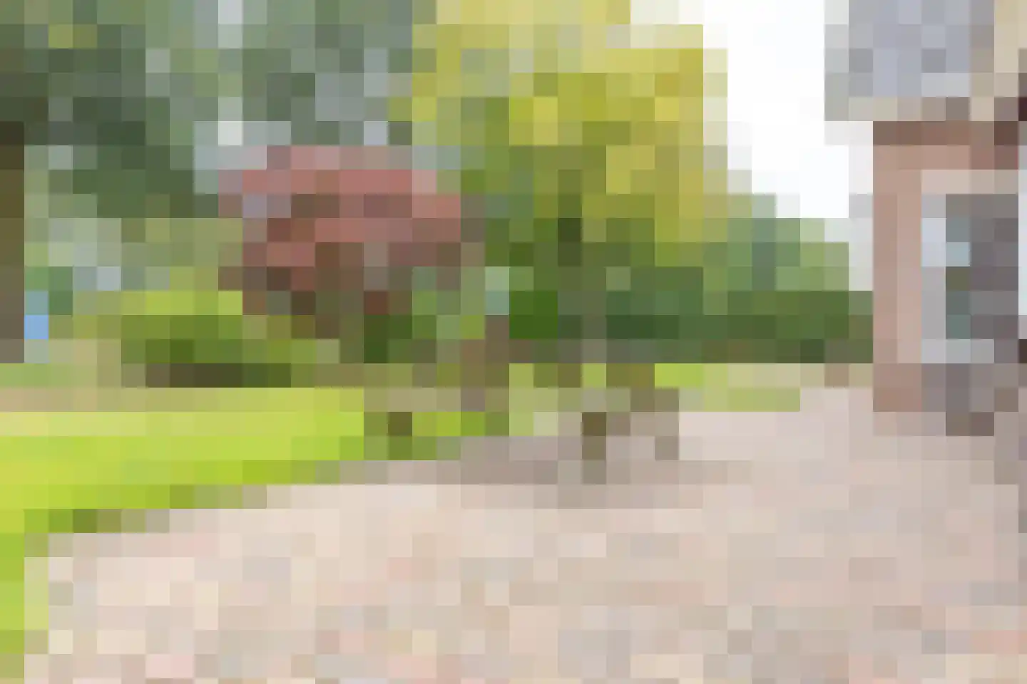 Zwingel 3 Hardenberg thumbnail 35