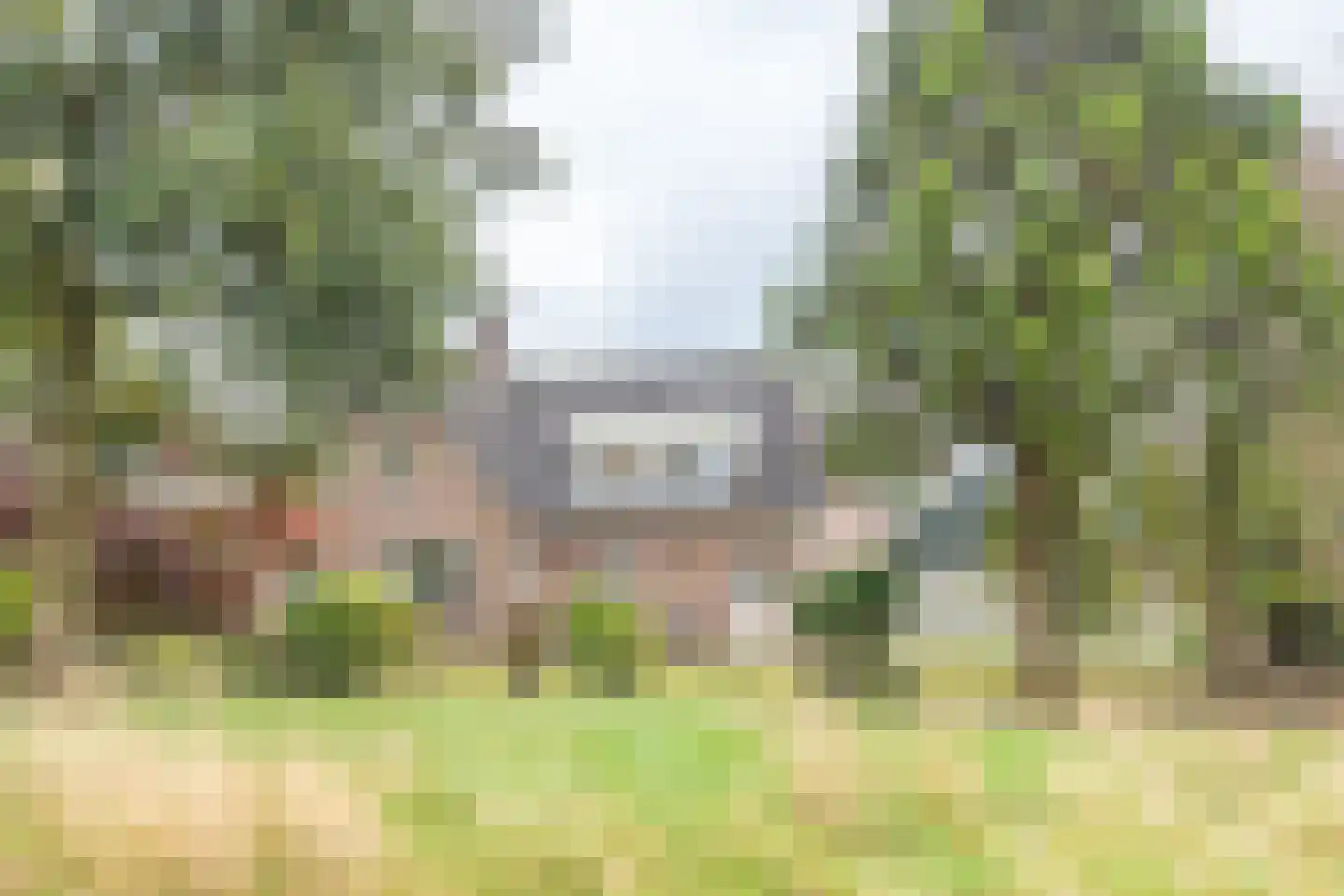 Zwingel 3 Hardenberg thumbnail 4