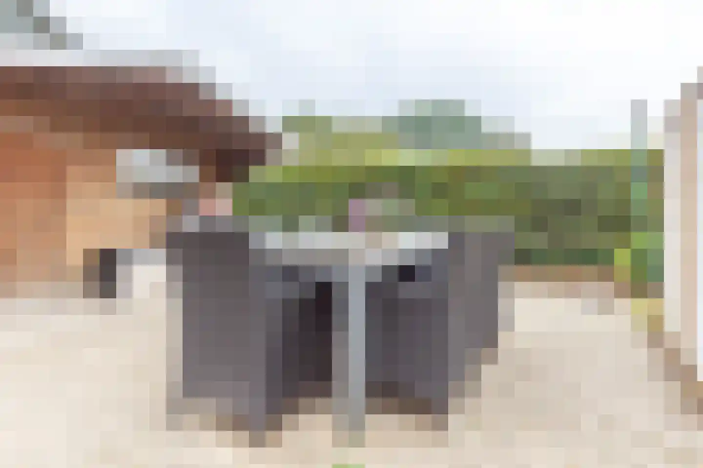 Zwingel 3 Hardenberg thumbnail 44
