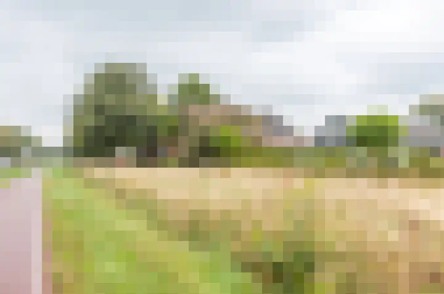 Zwingel 3 Hardenberg thumbnail 51
