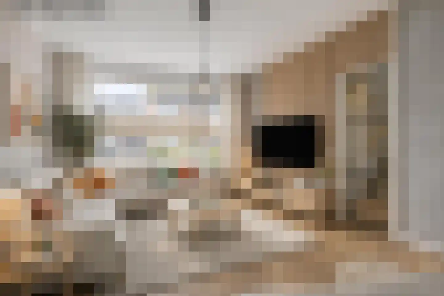 Zwingel 7 Zeeland thumbnail 10