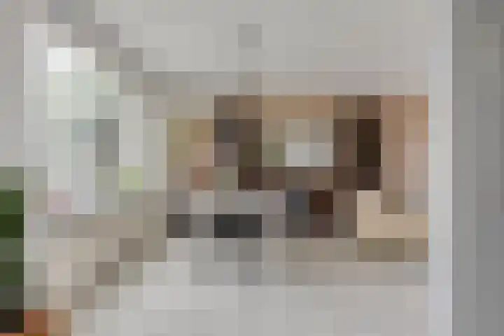 Zwingel 7 Zeeland thumbnail 12